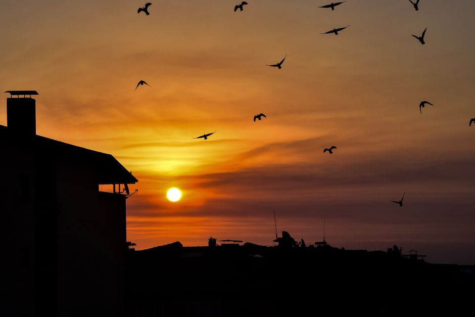 Balkonkraftwerk Komplettsets: Selbermachen oder Fachbetrieb beauftragen? Der Kostenvergleich
